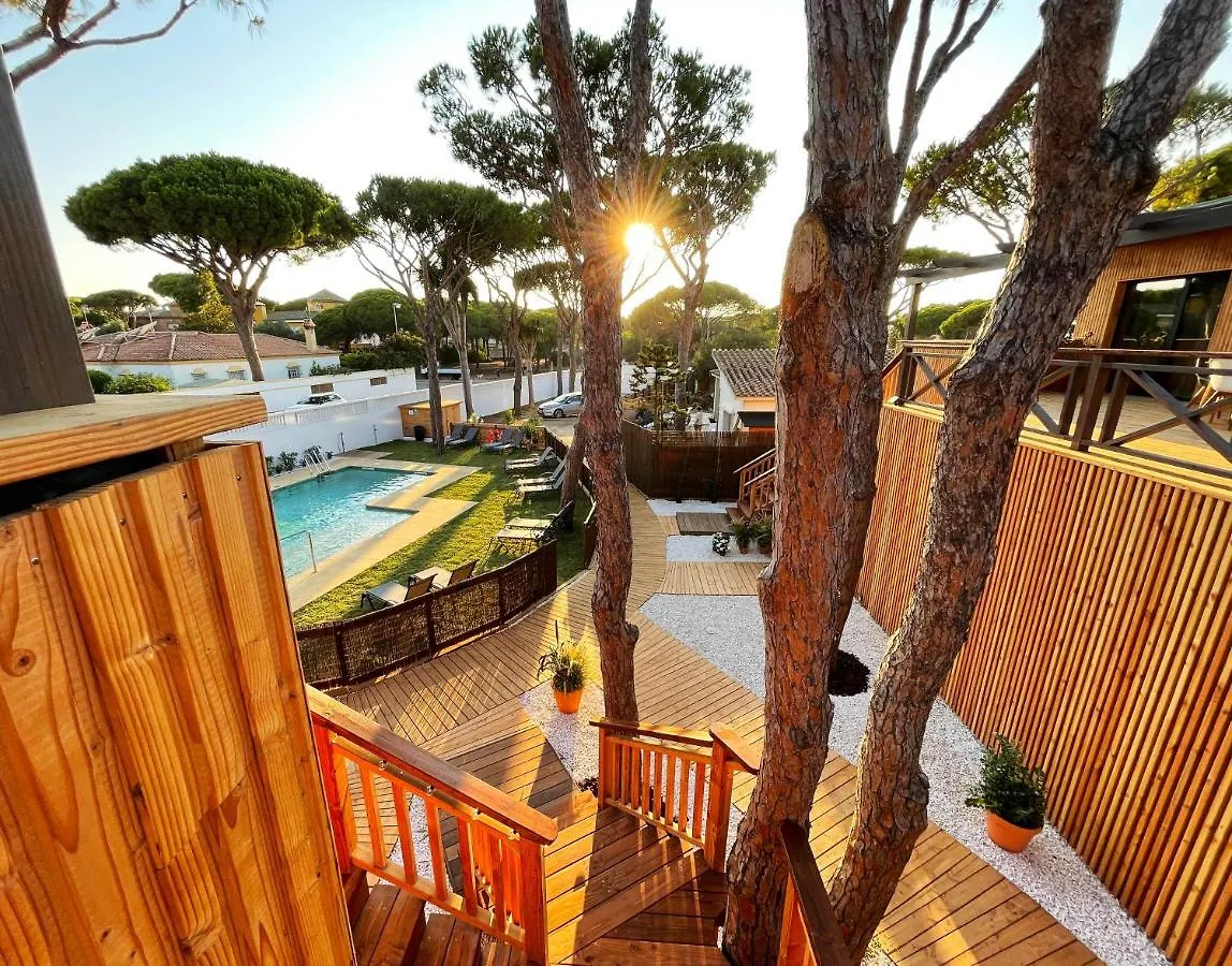 Aparthotel Apartamentos Biopasivos Living Pura Madera Chiclana de la Frontera Spain