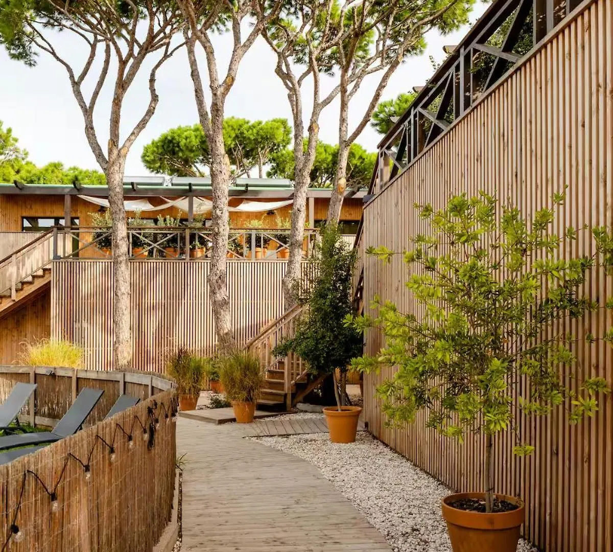 Aparthotel Apartamentos Biopasivos Living Pura Madera Chiclana de la Frontera